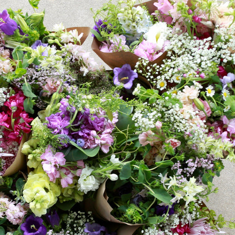 Farm-to-table flowers available through our seasonal CSA shares