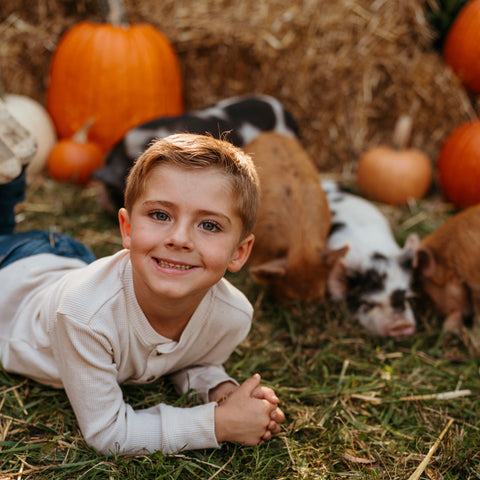 Piglets & Pumpkins Micro Mini Photo Sessions | October 19th, 2025 with Blankslate Photography