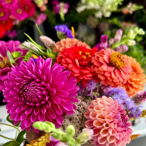 Seasonal Flower CSA bouquet featuring locally grown blooms. First Roots Farm, Oconomowoc, WI. CSA Flower Bouquet Subscription near me Hartland WI, Delafield WI, Pewaukee WI, Waukesha WI, Brookfield WI, Sussex WI, Dousman WI, Wales WI, Genesee Depot WI, Mukwonago WI, North Prairie WI, Milwaukee WI, Wauwatosa WI, Menomonee Falls WI, West Allis WI, New Berlin WI, Whitefish Bay WI, Shorewood WI, Elm Grove WI, Mequon WI, Cedarburg WI, Grafton WI, Jackson WI, Germantown WI, Hartford WI, Slinger WI, Rubicon WI