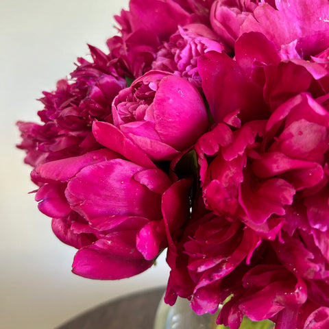 Spring Flower CSA bouquet featuring peonies From First Roots Farm in Oconomowoc, WI