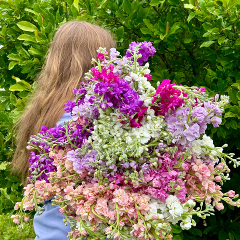 Bright summer flowers arranged for Flower CSA subscribers