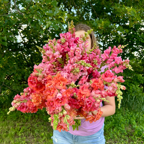 Flower farm near me, u-pick flower farm, fresh-cut flowers for sale, local flower farm bouquets, seasonal flowers from farm, organic flower farm, CSA flower subscription, DIY wedding flowers, sustainable flower farm, farm-fresh floral arrangements, flower farm events, best flower farm in Oconomowoc, u-pick wildflowers, wedding flowers from local farm, flower farm tours, farm-to-table flowers, Bloom Bar rental, sunflower field photography, dahlia farm near me.