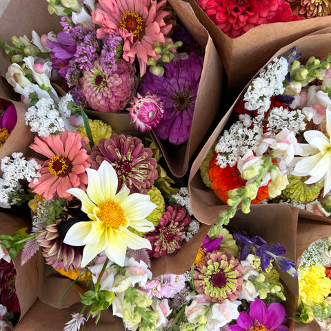 Freshly picked flowers arranged for weekly CSA members. First Roots Farm Oconomowoc, WI. Flower Farm near me: Freshly picked flowers arranged for weekly CSA members