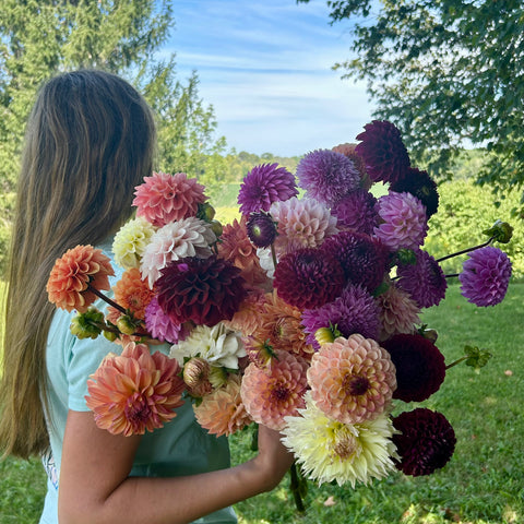 Seasonal Flower CSA bouquet featuring locally grown blooms. First Roots Farm, Oconomowoc, WI. uPick Flowers near me Hartland WI, Delafield WI, Pewaukee WI, Waukesha WI, Brookfield WI, Sussex WI, Dousman WI, Wales WI, Genesee Depot WI, Mukwonago WI, North Prairie WI, Milwaukee WI, Wauwatosa WI, Menomonee Falls WI, West Allis WI, New Berlin WI, Whitefish Bay WI, Shorewood WI, Elm Grove WI, Mequon WI, Cedarburg WI, Grafton WI, Jackson WI, Germantown WI, Hartford WI, Slinger WI, Rubicon WI, Watertown WI