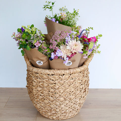 First Roots Farm in Oconomowoc, WI, is a flower farm setting with vibrant seasonal blooms. Conveniently located near Milwaukee, Wauwatosa, West Allis, Brookfield, Waukesha, Pewaukee, Hartland, Delafield, Sussex, Menomonee Falls, Cedarburg, and Waukesha.
