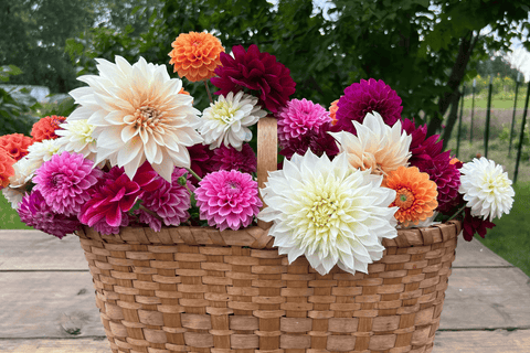Corporate Team Gatherings at a Flower Farm in Southern Wisconsin