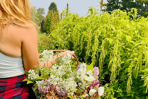 Before You Come to First Roots Farm