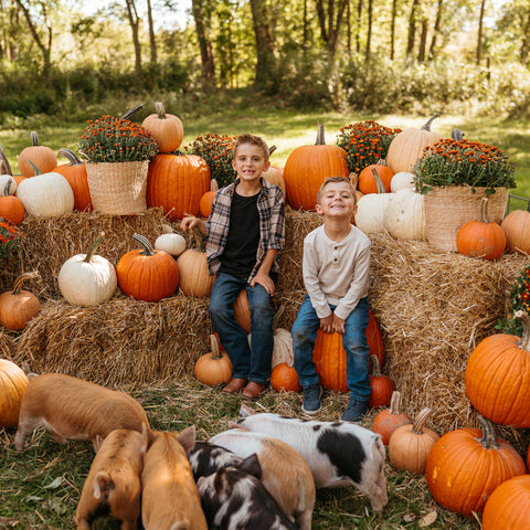 Piglets & Pumpkins Micro Mini Photo Sessions | October 19th, 2025 with Blankslate Photography