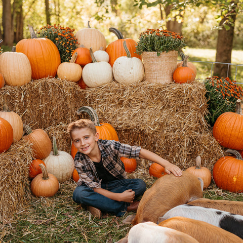 Piglets & Pumpkins Micro Mini Photo Sessions | October 19th, 2025 with Blankslate Photography