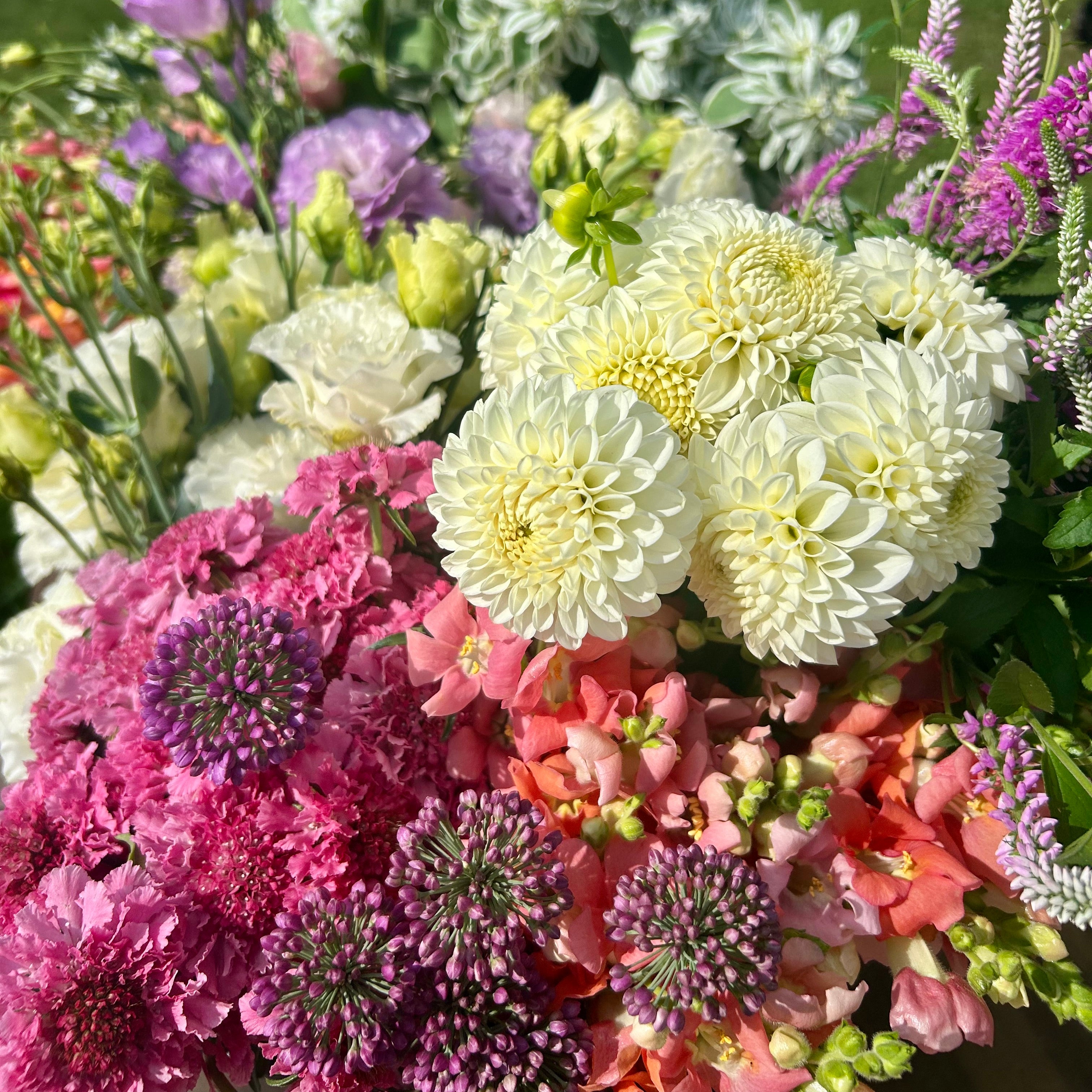 September CSA Flower Subscription – First Roots Farm