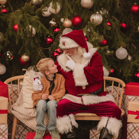 The Santa Experience