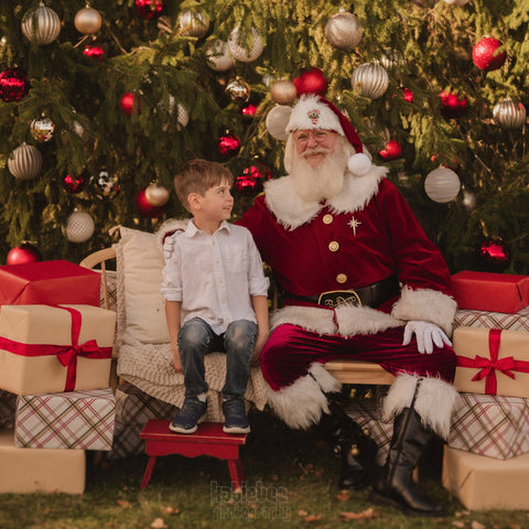 The Santa Experience