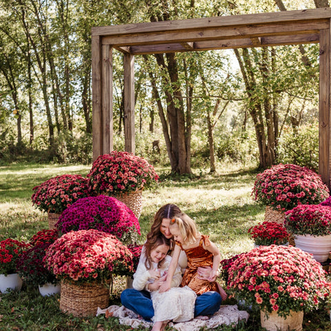 Mums in Bloom Micro Mini Photo Sessions | October 19th, 2025 with Timmerly Photography