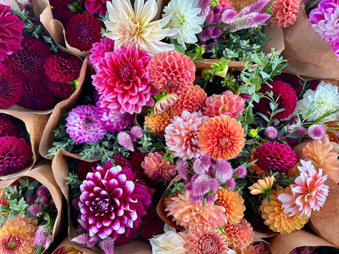 Dahlia bouquet CSA First Roots Farm Oconomowoc WI 