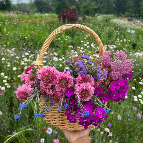 Yoga by Analisia in the Flowers | 9.17.26 Yoga Class + uPick