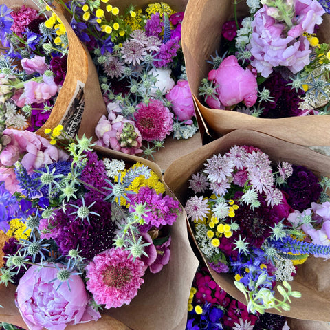 June 2026 CSA Flower Subscription