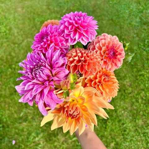 Barre with Babes + Blooms | 10.17.25 Barre Class & uPick