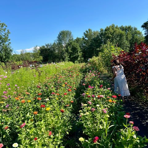 uPick | Saturday, September 5th, 2026