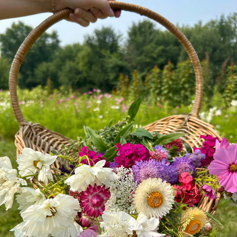 uPick Season Pass | 6 Visits