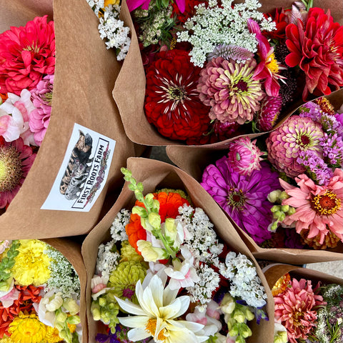 Flower CSA Flower farm near me Hartland WI, Delafield WI, Pewaukee WI, Waukesha WI, Brookfield WI, Sussex WI, Dousman WI, Wales WI, Genesee Depot WI, Mukwonago WI, North Prairie WI, Milwaukee WI, Wauwatosa WI, Menomonee Falls WI, West Allis WI, New Berlin WI, Whitefish Bay WI, Shorewood WI, Elm Grove WI, Mequon WI, Cedarburg WI, Grafton WI, Jackson WI, Germantown WI, Hartford WI, Slinger WI, Rubicon WI, Watertown WI, Johnson Creek WI, Ixonia WI, Oconomowoc Lake WI, Nashotah WI, Okauchee WI, Merton WI