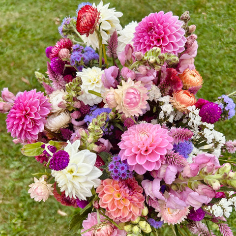 Barre with Babes + Blooms | 10.17.25 Barre Class & uPick
