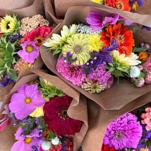 Seasonal floral selection available to our Flower CSA participants First Roots Farm Oconomowoc, WI. Hartland WI, Delafield WI, Pewaukee WI, Waukesha WI, Brookfield WI, Sussex WI, Dousman WI, Wales WI, Genesee Depot WI, Mukwonago WI, North Prairie WI, Milwaukee WI, Wauwatosa WI, Menomonee Falls WI, West Allis WI, New Berlin WI, Whitefish Bay WI, Shorewood WI, Elm Grove WI, Mequon WI, Cedarburg WI, Grafton WI, Jackson WI, Germantown WI, Hartford WI, Slinger WI, Rubicon WI, Watertown WI, Johnson Creek WI