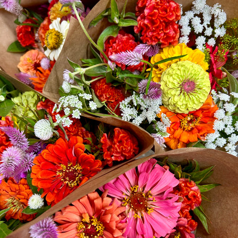 First Roots Farm Flower CSA. flower CSA, farm-grown flowers, fresh flowers, local flowers, flower subscription, weekly flowers, seasonal blooms, farm fresh, sustainable flowers, eco-friendly gift, Valentine’s gift, unique gift, thoughtful gift, flower delivery, pickup options, First Roots Farm, flower lovers, fresh bouquets, floral arrangement, CSA membership, farm to vase, locally grown, cut flowers, subscription flowers, floral CSA, flower farm, support local