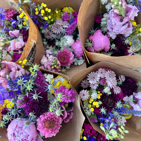 flower CSA, farm-grown flowers, fresh flowers, local flowers, flower subscription, weekly flowers, seasonal blooms, farm fresh, sustainable flowers, eco-friendly gift, Valentine’s gift, unique gift, thoughtful gift, flower delivery, pickup options, First Roots Farm, flower lovers, fresh bouquets, floral arrangement, CSA membership, farm to vase, locally grown, cut flowers, subscription flowers, floral CSA, flower farm, support local, gift that keeps on giving, treat yourself, flower joy, seasonal bouquets