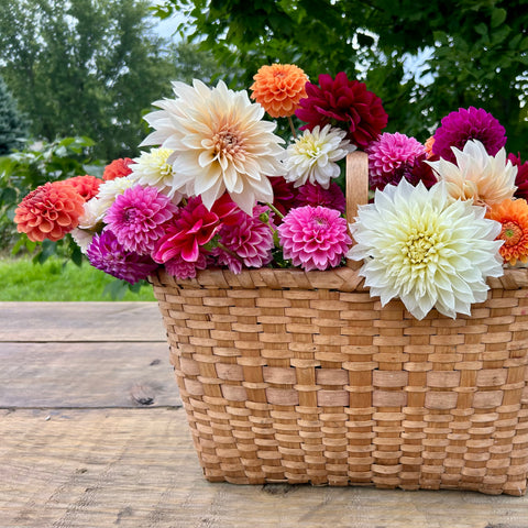you pick basket of flowers