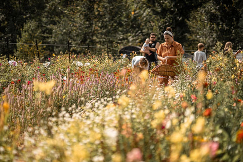 Flower farm uPick, Flower you pick, family fun, First Roots Farm in Oconomowoc, WI. Flower Farm near me Hartland WI, Delafield WI, Pewaukee WI, Waukesha WI, Brookfield WI, Sussex WI, Dousman WI, Wales WI, Genesee Depot WI, Mukwonago WI, North Prairie WI, Milwaukee WI, Wauwatosa WI, Menomonee Falls WI, West Allis WI, New Berlin WI, Whitefish Bay WI, Shorewood WI, Elm Grove WI, Mequon WI, Cedarburg WI, Grafton WI, Jackson WI, Germantown WI, Hartford, WI