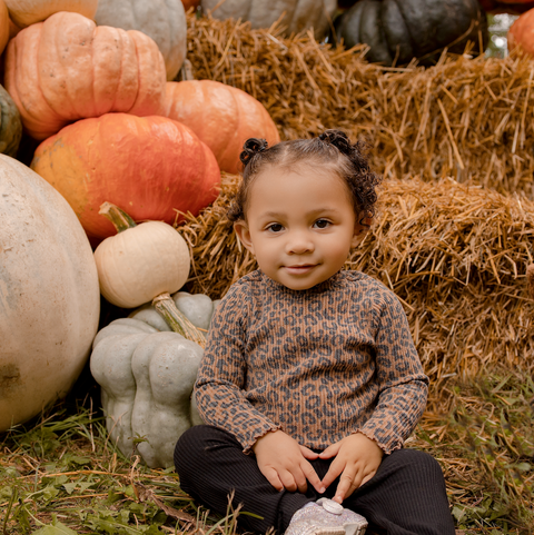 Piglets + Pumpkins Micro Mini Family Photo Event | 10.11.2026 with Kendall Kuss Photography