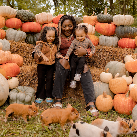 Piglets + Pumpkins Micro Mini Family Photo Event | 10.11.2026 with Kendall Kuss Photography