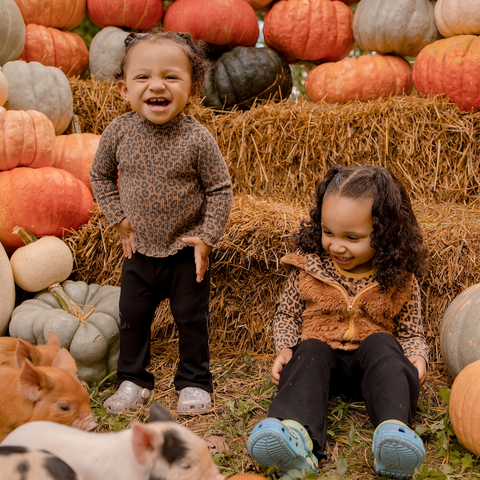Piglets + Pumpkins Micro Mini Family Photo Event | 10.11.2026 with Kendall Kuss Photography