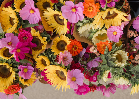Bouquet of colorful flowers, including sunflowers and pink flowers, from First Roots Farm Oconomowoc, WI 