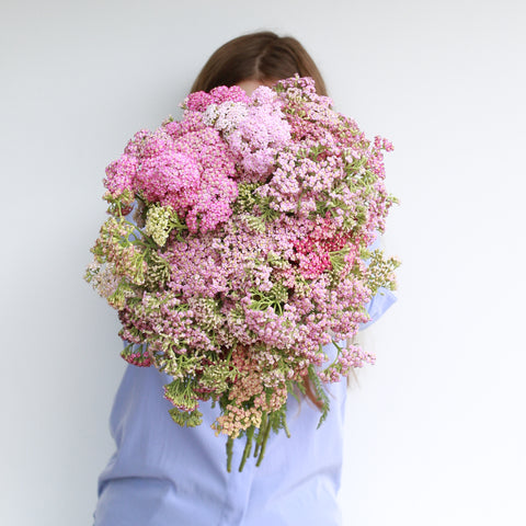 First Roots Farm in Oconomowoc, WI, is a flower farm setting with vibrant seasonal blooms. Conveniently located near Milwaukee, Wauwatosa, West Allis, Brookfield, Waukesha, Pewaukee, Hartland, Delafield, Sussex, Menomonee Falls, Cedarburg, and Waukesha.