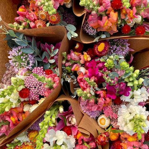 8 week 2026 CSA Flower Subscription