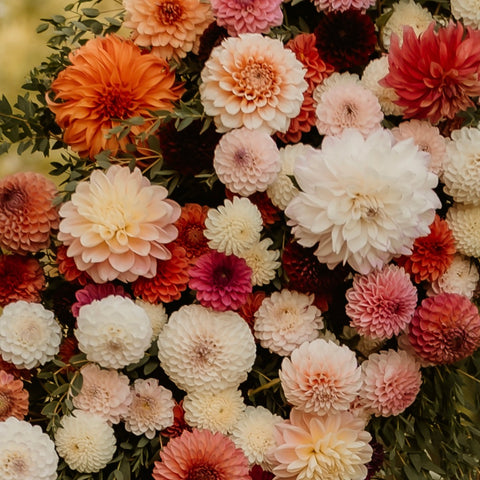 Premium dahlia arrangement created at a Floral Design Class near Milwaukee, Wisconsin.