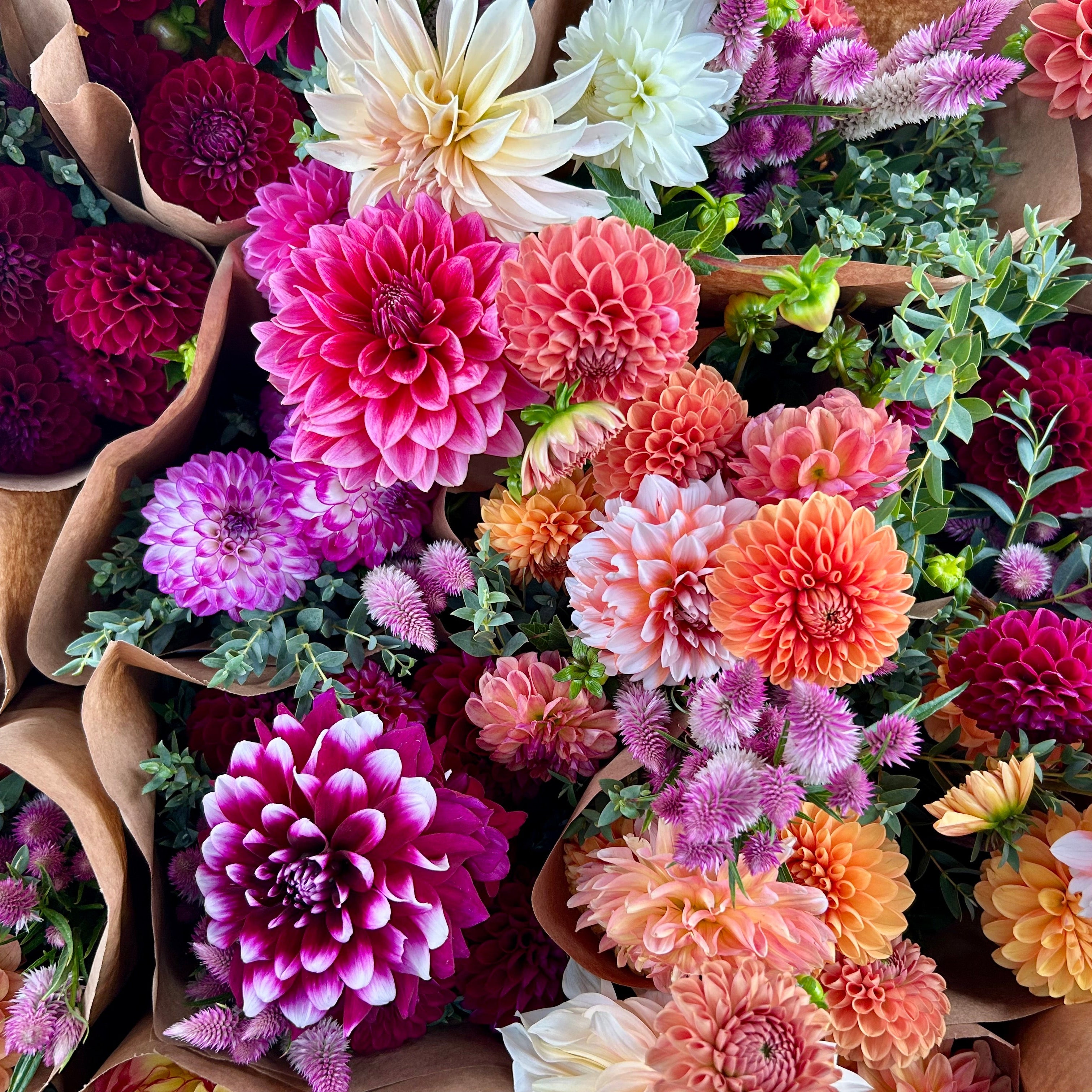 September CSA Flower Subscription – First Roots Farm