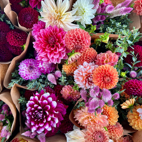 September CSA Flower Subscription