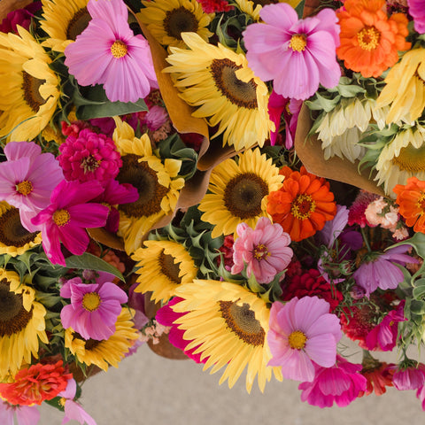 August 2026 CSA Flower Subscription