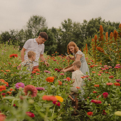 Family of four, including two adults and two children, standing in a field of colorful flowers for a uPick