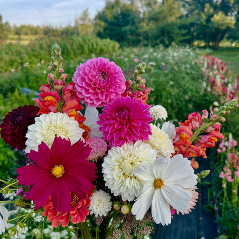 uPick Season Pass | 8 Visits